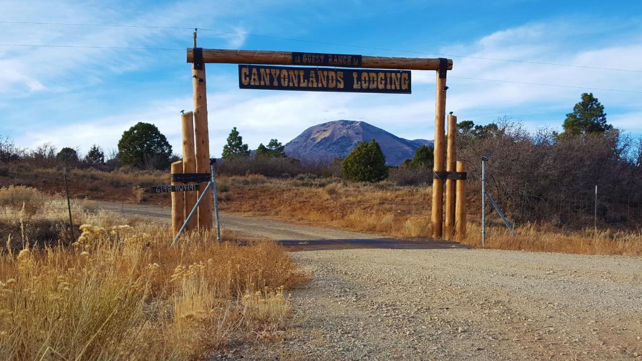 Canyon View Family Cabin, Deck, Tv Room, Games, Bbq, Campfire Monticello Luaran gambar